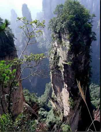 長(zhǎng)沙出發(fā)到張家界溶洞奇觀黃龍洞、國(guó)家森林公園、袁家界、峰林之王天子山三日游（早班）